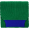 Шарф Snappy, зеленый с синим (Изображение 1)