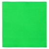 Лейбл тканевый Epsilon, L, зеленый неон (Изображение 1)