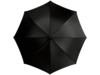 Зонт-трость Lisa (черный)  (Изображение 2)