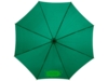Зонт-трость Kyle (зеленый)  (Изображение 4)