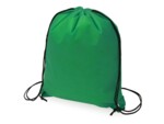 Рюкзак Пилигрим (зеленый) 