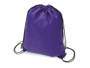 Рюкзак Пилигрим (фиолетовый) 