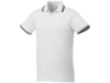 Рубашка поло Fairfield мужская (красный/белый) 3XL (Изображение 1)