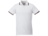 Рубашка поло Fairfield мужская (красный/белый) 3XL (Изображение 2)