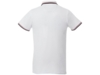 Рубашка поло Fairfield мужская (красный/белый) 3XL (Изображение 3)