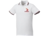 Рубашка поло Fairfield мужская (красный/белый) 3XL (Изображение 4)