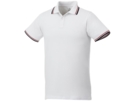 Рубашка поло Fairfield мужская (красный/белый) 2XL