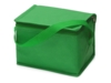 Сумка-холодильник Reviver из нетканого переработанного материала RPET (зеленый)  (Изображение 1)