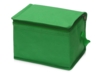 Сумка-холодильник Reviver из нетканого переработанного материала RPET (зеленый)  (Изображение 2)