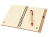 Подарочный набор Essentials с флешкой и блокнотом А5 с ручкой (красный/красный/натуральный) 8Gb (Изображение 8)