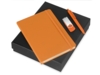 Подарочный набор Vision Pro Plus soft-touch с флешкой, ручкой и блокнотом А5 (оранжевый/оранжевый) 8Gb (Изображение 1)