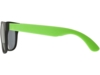Очки солнцезащитные Retro (черный/неоновый зеленый)  (Изображение 3)