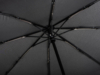 Зонт складной автоматичский Baldinini, черный (Изображение 6)