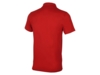 Рубашка поло Laguna мужская (красный) 3XL (Изображение 2)