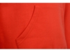 Толстовка с капюшоном Amsterdam мужская (красный) L (Изображение 5)