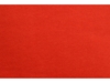 Толстовка с капюшоном Amsterdam мужская (красный) L (Изображение 7)