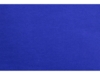 Толстовка с капюшоном Amsterdam мужская (синий классический ) L (Изображение 7)