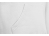 Толстовка с капюшоном Amsterdam мужская (белый) XL (Изображение 5)