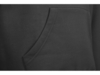 Толстовка с капюшоном Amsterdam мужская (черный) 3XL (Изображение 5)