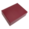 Набор Hot Box C red (салатовый) (Изображение 3)