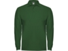 Рубашка поло Estrella мужская с длинным рукавом (зеленый бутылочный ) XL (Изображение 1)