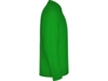 Рубашка поло Estrella мужская с длинным рукавом (зеленый) 3XL (Изображение 4)