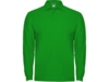 Рубашка поло Estrella мужская с длинным рукавом (зеленый) M (Изображение 1)