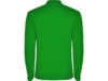 Рубашка поло Estrella мужская с длинным рукавом (зеленый) M (Изображение 2)