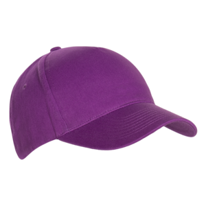 Бейсболка 10L (Фиолетовый)