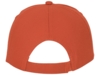 Бейсболка Feniks (оранжевый) 58 (Изображение 3)