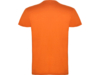 Футболка Beagle мужская (оранжевый) 3XL (Изображение 2)