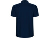 Рубашка поло Pegaso мужская (navy) 4XL