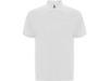 Рубашка поло Centauro Premium мужская (белый) 3XL (Изображение 1)