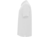 Рубашка поло Centauro Premium мужская (белый) 3XL (Изображение 3)