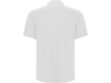 Рубашка поло Centauro Premium мужская (белый) XL (Изображение 2)
