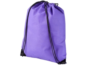 Рюкзак-мешок Evergreen (фиолетовый) 