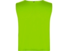 Спортивная безрукавка Ajax, унисекс (неоновый зеленый) XL