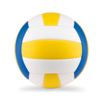 Мяч волейбольный (многоцветный) (Изображение 1)