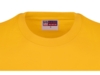Футболка Heavy Super Club мужская (золотисто-желтый) XL (Изображение 4)