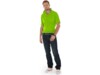 Рубашка поло Boston мужская (зеленое яблоко) XL
