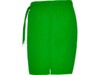 Плавательные шорты Aqua, мужские (зеленый) 2XL