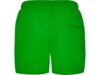 Плавательные шорты Aqua, мужские (зеленый) XL