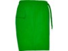 Плавательные шорты Aqua, мужские (зеленый) L