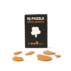 Головоломка IQ Puzzle, дерево (Изображение 1)