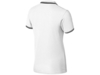 Рубашка поло Erie мужская (белый) XL (Изображение 2)