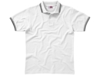 Рубашка поло Erie мужская (белый) XL (Изображение 5)