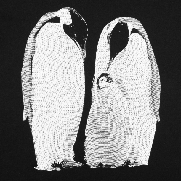 Футболка женская Like a Penguin, черная, размер S (Изображение 2)
