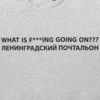 Футболка «Ленинградский почтальон», серый меланж, размер S (Изображение 4)