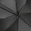 Зонт-трость, Bergwind, черный (Изображение 5)
