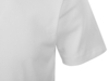 Рубашка поло Chicago мужская (белый) M (Изображение 6)